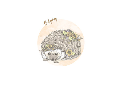 Floral hedgehog animal art animal illustration animals childrens book illustration cute animal cute illustration digital art digital painting drawing floral design flowers hedgehog pen drawing pet portrait photoshop art watercolor