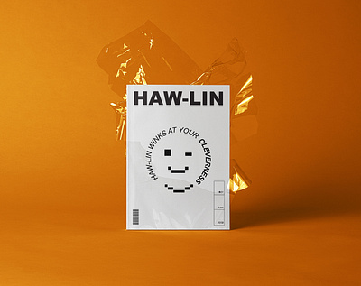 Hawlin Mag 1.0 aesthetic artdirection bocetandostudio branding design editorial illustration editorialdesign icon inspirational inspirations minimal typography