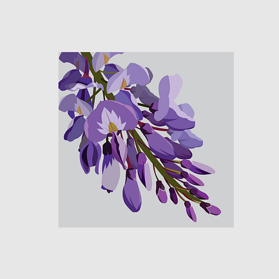 4 Wisteria design flat flower flower illustration illustration illustrator vector