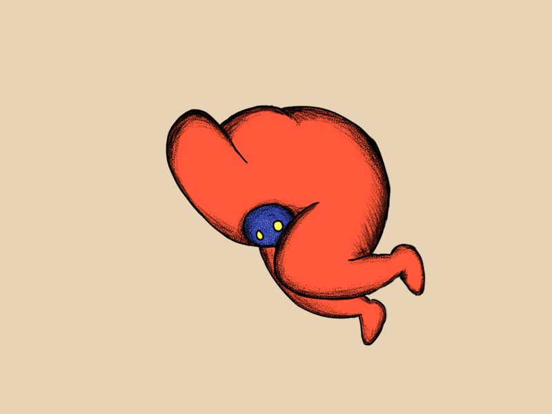 Wildeburg spinning animated gif animation animation 2d character character design illustration loop spinning