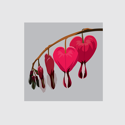 8 Bleeding Hearts design flat flower flower illustration illustration illustrator vector