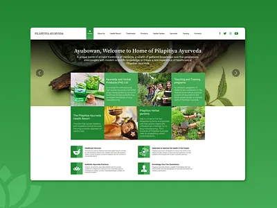 Home page design for - Pilapitiya Ayurveda (Sri Lanka) branding design ui ux web website