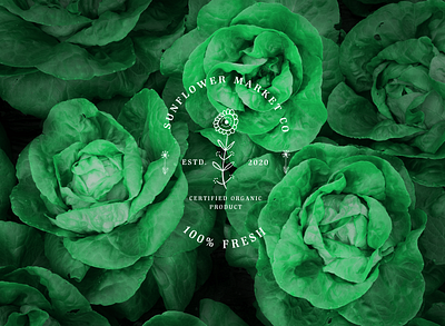 Sunflower Market CO aveiro design dribbbleweeklywarmup elvas freelancer graphic designer grocery grocery store logo logo design logodesign logotype logotype designer market store sunflower sunflowers supermarket vegan