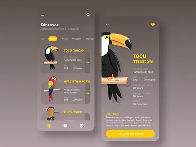 Creatures Redesign adobe adobexd app birds life colour creatures design details digital art heart illustration mobile pen tool photoshop scientific name ui vector vector artwork vector birds vector illustration