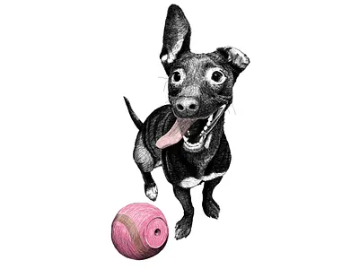 Minduca :) animal art art artwork childrens illustration digital drawing drawing illustration pet pets printing