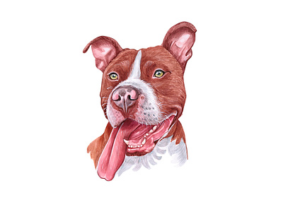 Watercolor PitBull animal dog dog illustration draw illustration pet pets pitbull puppy watercolor watercolor art