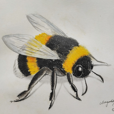 Bumblebee