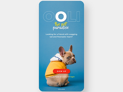 OOLI app art branding design logo minimal mobile mobile app pet shop ui ui design ux design web website