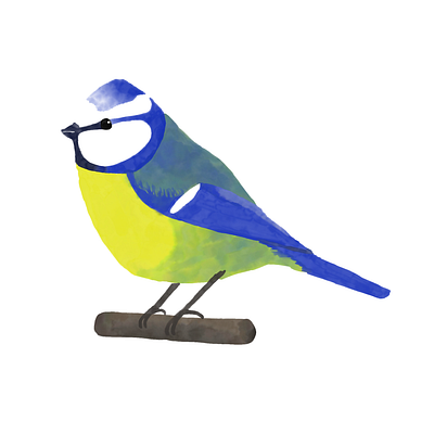 Blue Tit adobe fresco bird blue tit painting watercolor