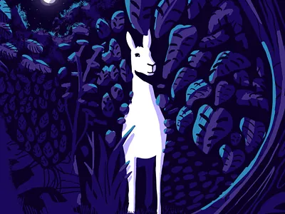 Llama Moon art direction artwork color digital illustration landscapes