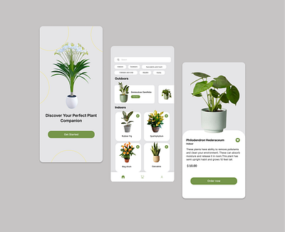 Plantopia || Plant shop App UI app ui clean design e commerce greenery minimal design mobile interface nature lovers plant app plant shop product page product screen shopping app ui ui design uiux user interface visual design