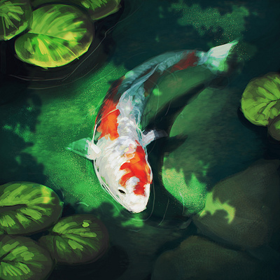 Koi Carp art artwork carp digital art illustration koi