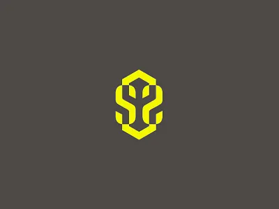 double S double s logo hexagonal logo monogram ss logo typogaphy yellow logo
