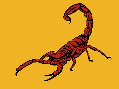 This is a scorpion design illustration orange random red scorpion sketch
