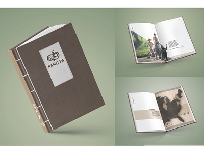 Sang Pa Investor Look Book book design illustration illustrator indesign publications