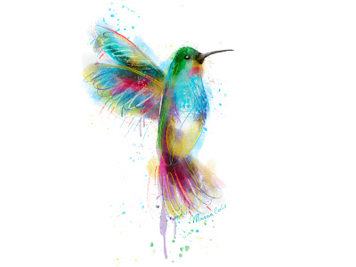 Colibrí art arte digital artwork bird bird illustration colibri dibujo digital art digital illustration digital painting humming bird hummingbird illustration ipad pro ipadproart procreate procreate art watercolor