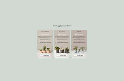 Daily UI #30 - Pricing 100daychallenge air plant branding color palette dailyui dailyuichallenge day 30 design dribbble figma pastels plants pricing page purchase subscription succulent ui uidesign ux vector