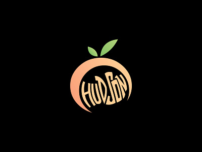 Hudson Orange art branding design icon illustration illustrator lettering logo minimal vector
