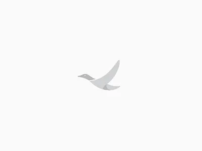 Flying Duck bird bird logo clean crane duck bird duck flying duck logo duckling ducks flying bird flying duck logo logo design logodesign minimal simple unique