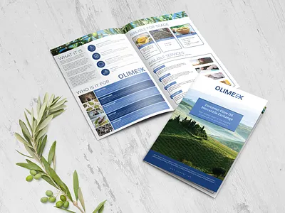 Bi-fold Brochure Olive Oil Exchange Platform bi fold bifold bifold brochure brochure design design graphic design olive oil olive products print design
