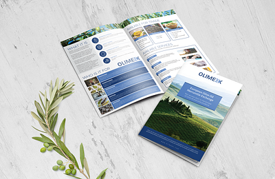 Bi-fold Brochure Olive Oil Exchange Platform bi fold bifold bifold brochure brochure design design graphic design olive oil olive products print design