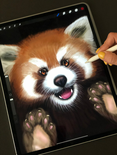 Red Panda. Procreate illustration bamboo bear cute animal design digital illustration digital painting digitalart illustration ipad art ipad illustration ipadproart procreate procreate art redpanda shutterstock typography