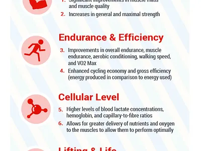 Weightlifting for combating age related muscle loss adobe adobe illustrator cc avatar design elderly illustration vector vector art vector artwork web weightlifting weights