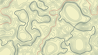 Topographical Map design illustration topographic map topography topology