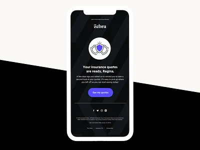 The Zebra Product email austin texas brand branding design email email design icon illustrator insurance insurance company lifecycle pattern product product design type typography ui