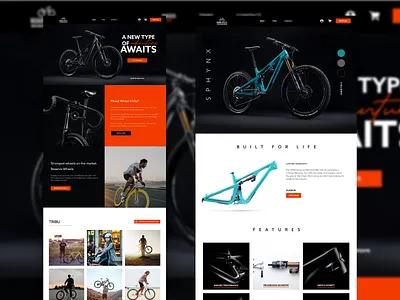 Roar cycles 2 adobexd clean design ui uiux ux website