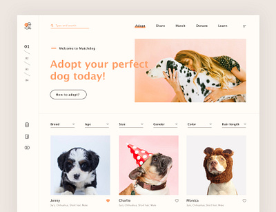 MatchDog Web design ui ux web