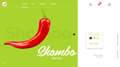 Shombo web Ui design web web site web ui design webdesign