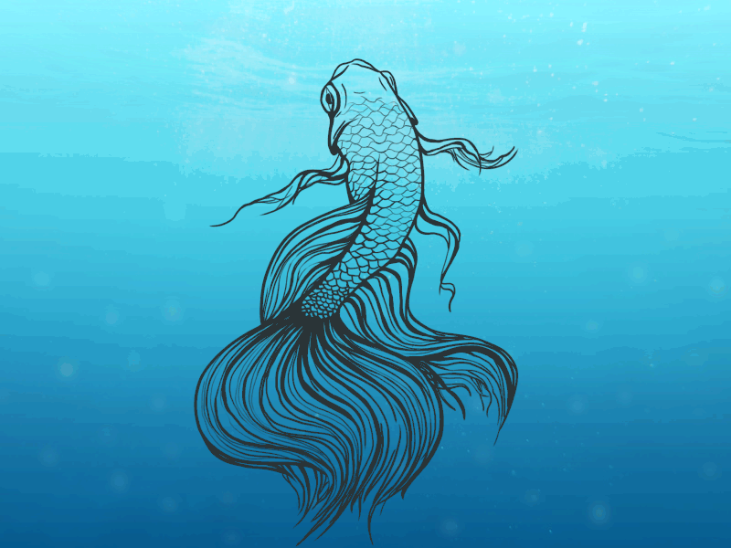 Animated fish drawing ae animation animation 2d animation design annamukhina design drawing fish illustration inkart motion motion design motiondesignschool