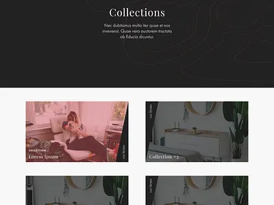 WIP: Collections Page design web design website