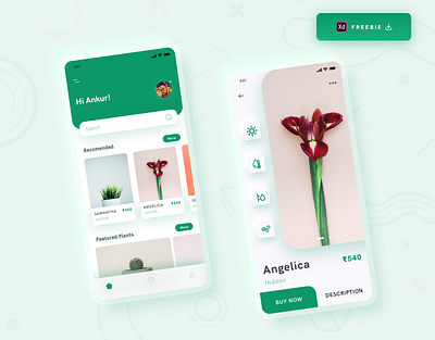 Daily UI Challenge 069/100 - Plant Shop App - Freebie 100uichallenge adobe xd ankur tripathi app design daily 100 challenge dailychallenge dailyui dailyuichallenge free download freebie plant app plant shop plant shop app plants shop app ui ui design uidesign uiinspirations uiux