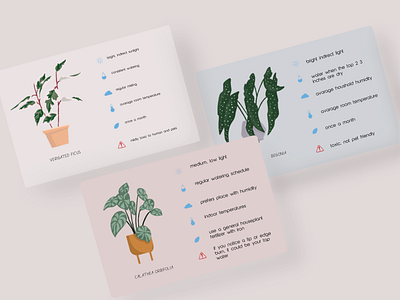 PLANT CARE 2d art cards clean colors daily design digital art dribbble illustration minimal plant process procreate