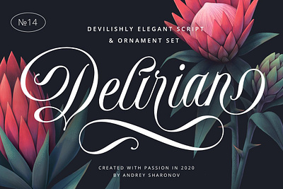 Delirian Script & Ornaments beautiful calligraphy calligraphy font font design fonts collection invitation lettering luxury fonts modern fonts ornament ornaments romantic script script font script fonts script lettering typeface typography wedding wedding fonts