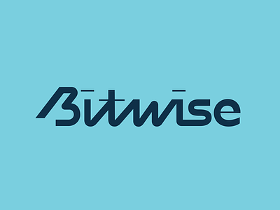 Wise Wordmarks branding identity logo logo design logotype mark wordmark