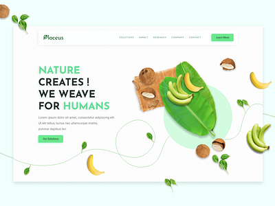 Plocues Natural Fiber First Phase design elements green layout minimal natural nature particles plant ui ui design uiux ux uxdesign web web design website