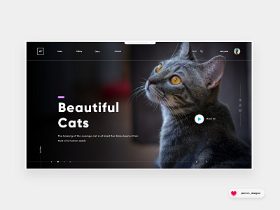 Lover_Cats Concept | Website Design animals app black cats color design experiencedesign interface user experience user interface design ux web website