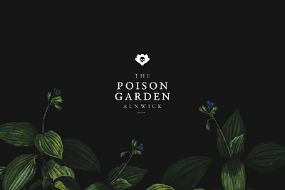 Logo / Identity Design - The Poison Garden - Alnwick brand brand design brand mark brand visual branding creative direction design flower garden logo logodesign logotype mark nature skull type typography word mark