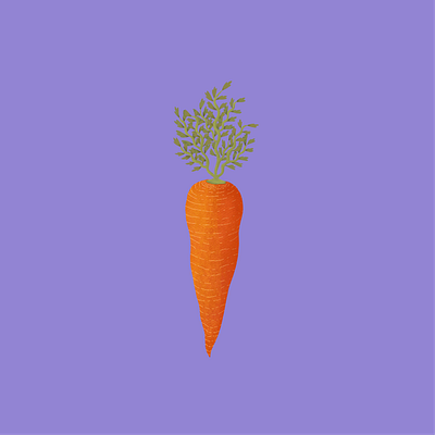 Carrot colorful design illustration procreate