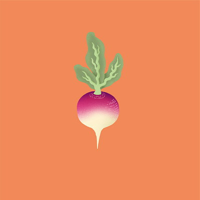 Turnip colorful design illustration procreate