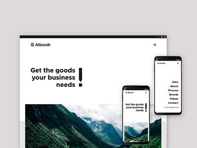 Allesnik web design fmcg responsive design shipment single page transportation ui ux web design worldwide