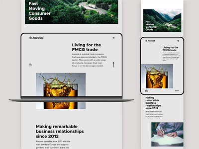 Allesnik web design responsive design shipment single page transportation ui ux web design worldwide