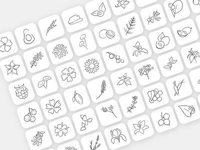 Icon Set for Yipsophilia cosmetics graphic design icon set icons illustration minimal organic plants procreate