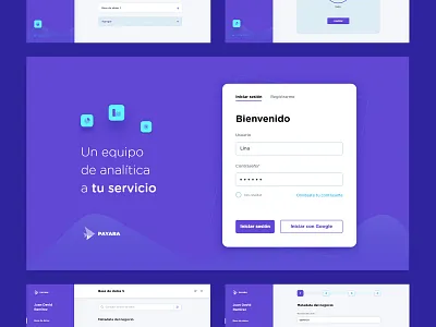 Dashboard Analytics dashboard dashboard app dashboard design duotone finance app financial forms icons interface login page sing up statistics steps