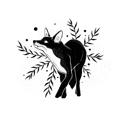 Botanical fox illustration black and white digital illustration fox fox illustration illustration illustrator nature procreate red fox