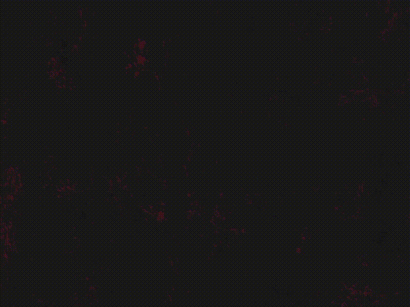 GMAIL Logo animation animation gmail logo logo animation motion design motiongraphics
