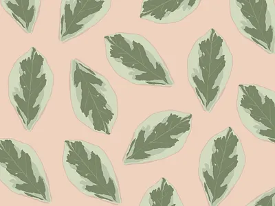 PATTERN flower @design @illustration @pattern @vector